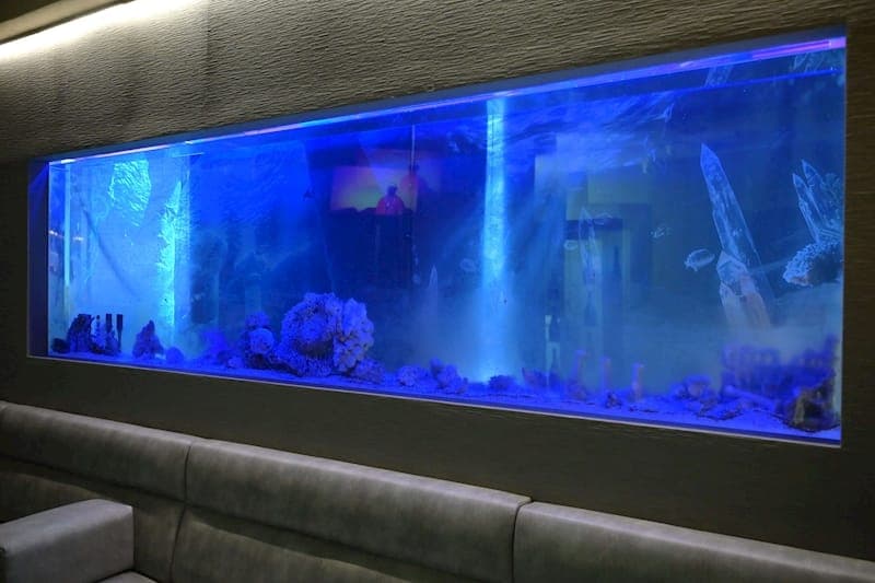 壁一面の水槽